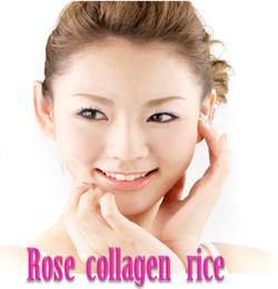 �K�N�̉ԑ���