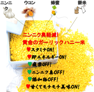 �K�[���b�N�n�j�[������